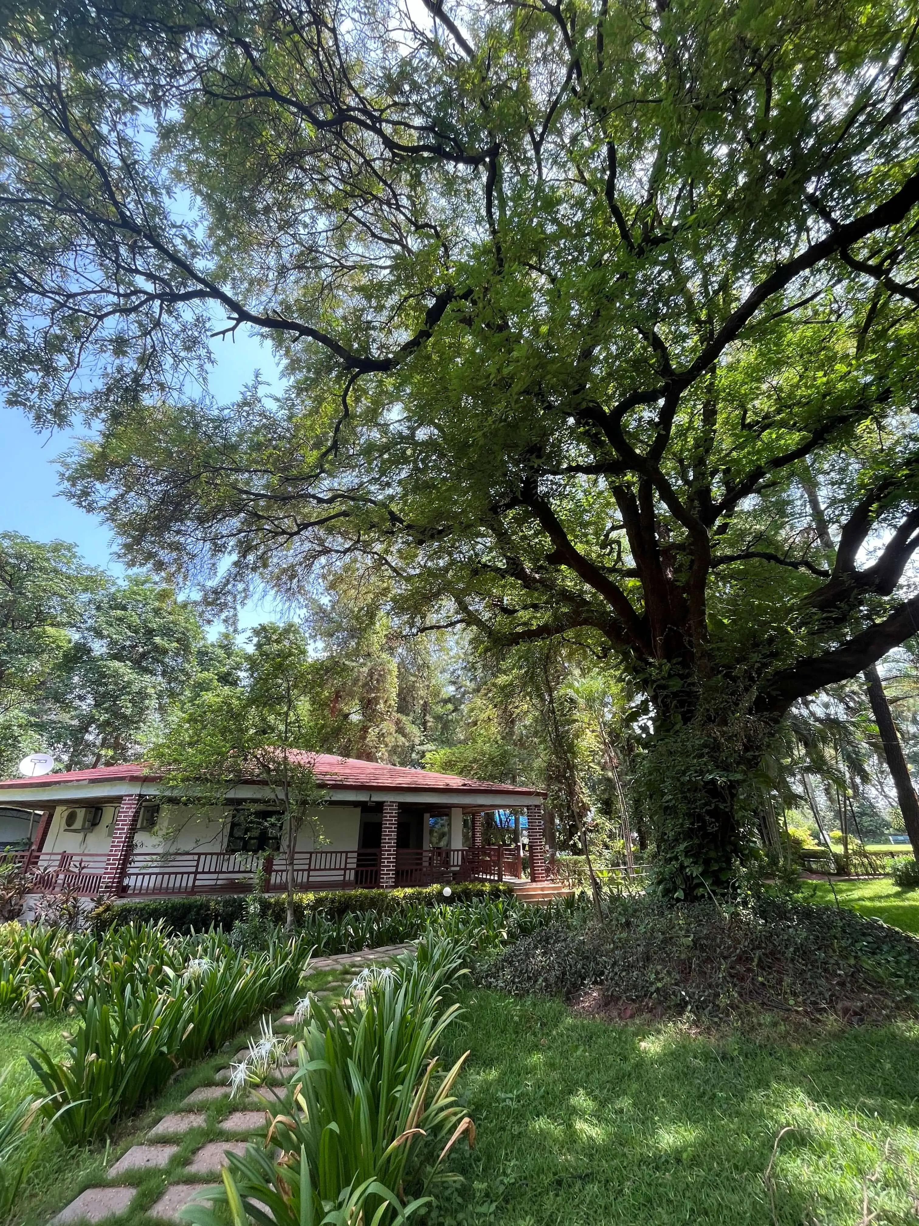 Silvassa Khanvel Resort - House with a red roof is surrounded by lush greenery, including a large tree and a garden with paved stone steps. The scene is bathed in bright sunlight.